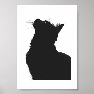 Black Cat Poster