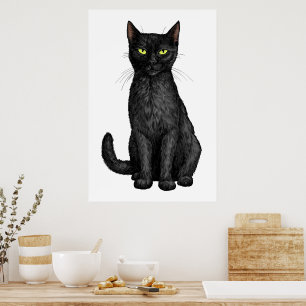 Black cat poster