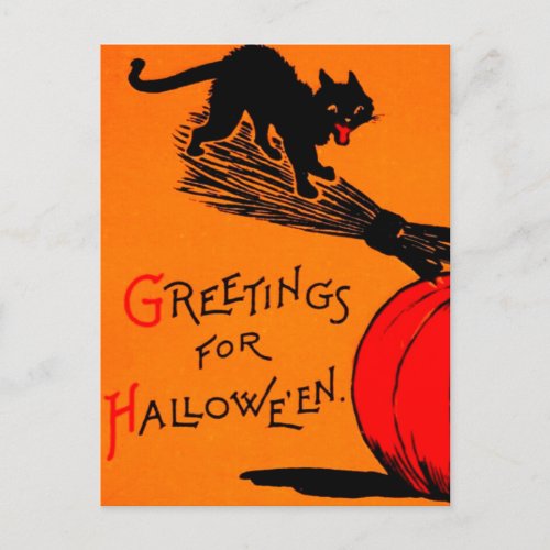 Black Cat Pumpkin  Broomstick Vintage Halloween  Postcard