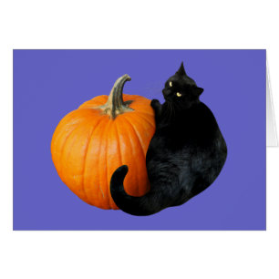 Black Cat Pumpkin Cards