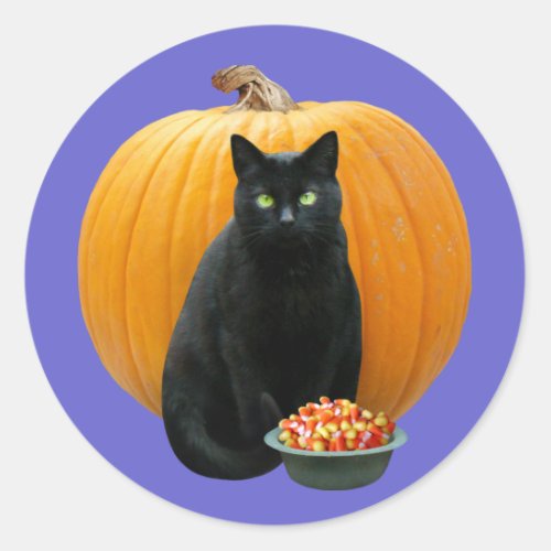Black Cat Pumpkin Classic Round Sticker