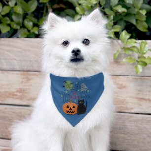 Black Cat & Pumpkin Not Scary Halloween Pet Bandana Collar