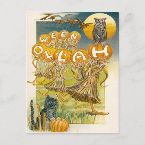 Black Cat Pumpkin Owl Bat Moon Postcard