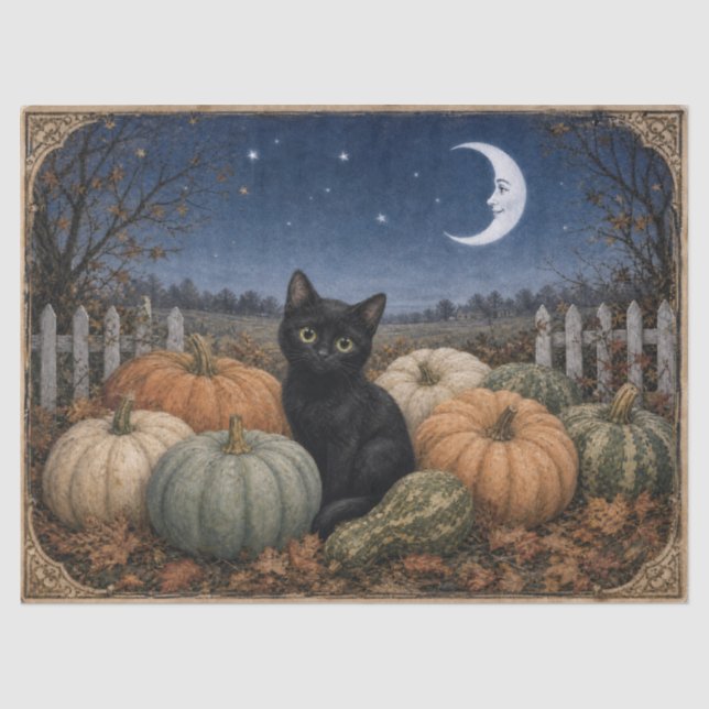 Black Cat Pumpkin Patch Vintage Tissue Paper (Front)