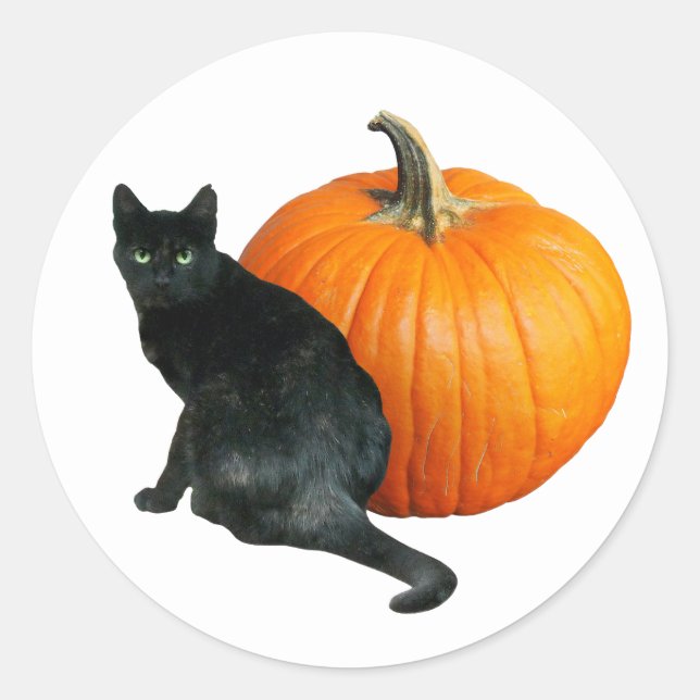 Black Cat Pumpkin Sticker (Front)