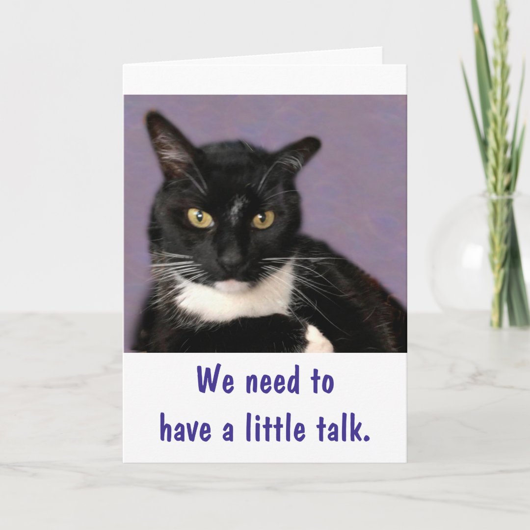 Black Cat Purrrfect Happy Birthday Card | Zazzle