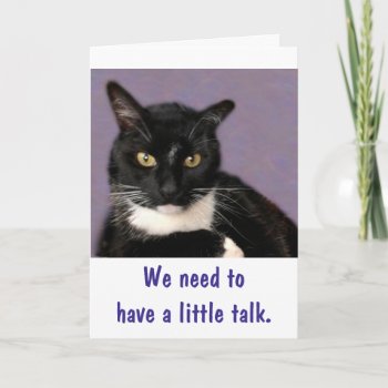 Black Cat Purrrfect Happy Birthday Card by Therupieshop at Zazzle