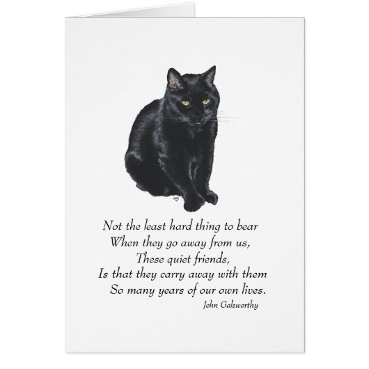 Black Cat Rainbow Bridge Cards (Front)