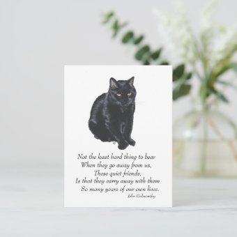 Black Cat Rainbow Bridge Postcard | Zazzle