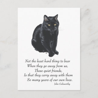 Black Cat Rainbow Bridge Postcard