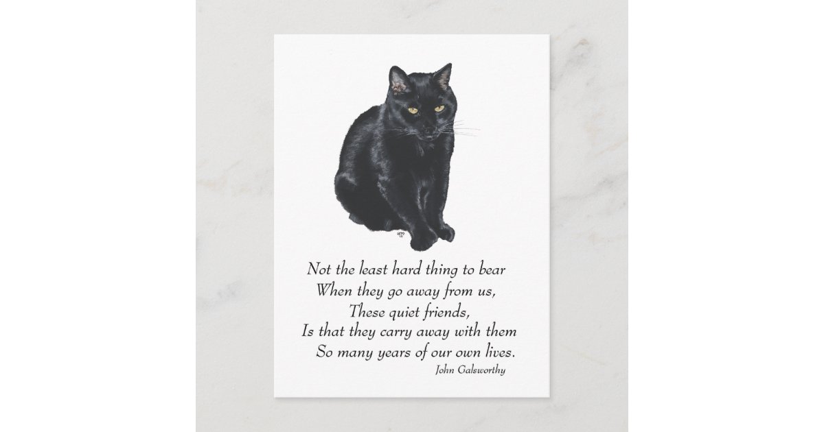 Black Cat Rainbow Bridge Postcard | Zazzle