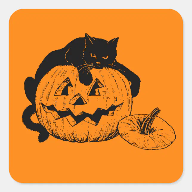 Black Cat Resting On Top of a Carved Pumpkin Square Sticker | Zazzle