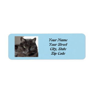 Black Cat Return Address Labels