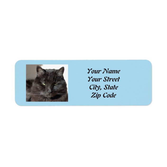 30 Custom Personalized Return Address Labels - Black Cat Face Design - 1 X 2 5/8 Inch