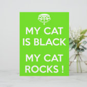 Black cat rocks (Standing Front)