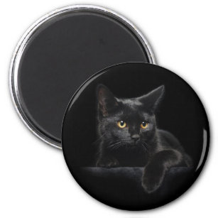 Black Cat Round Magnet