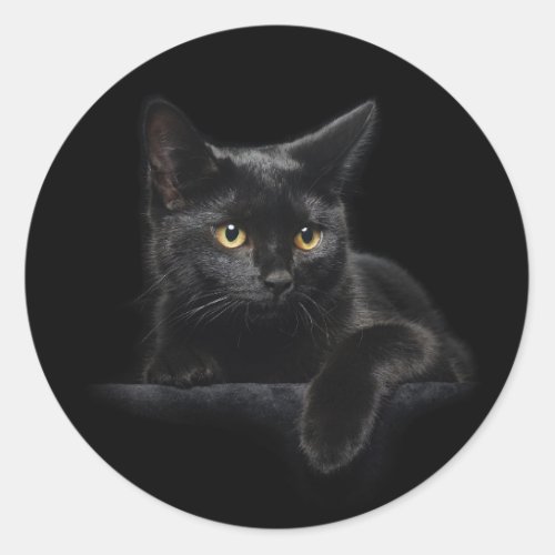 Black Cat Round Stickers
