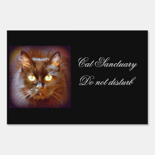 black cat sanctuary sign