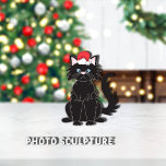 Black Cat Santa Hat Christmas Pet Ornament<br><div class="desc">Cute,  fluffy,  black cat graphic with blue eyes,  wearing a red/white Santa hat for Christmas.



Graphic by:  Lori@SaltTownStudio</div>