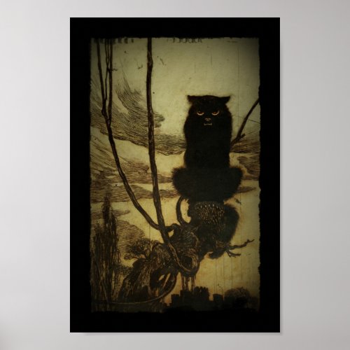 Black Cat Scowling Poster