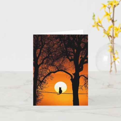 Black Cat Silhouette Sunset Card