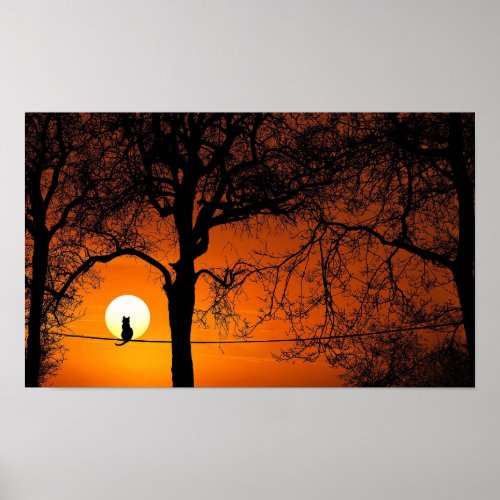 Black Cat Silhouette Sunset Poster