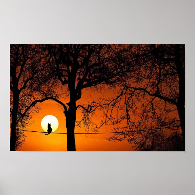 Black Cat Silhouette Sunset Poster (Front)