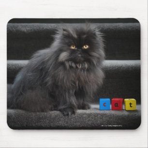 Black cat sitting on stairs by building blocks. mouse pad