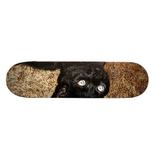 black cat skateboard deck