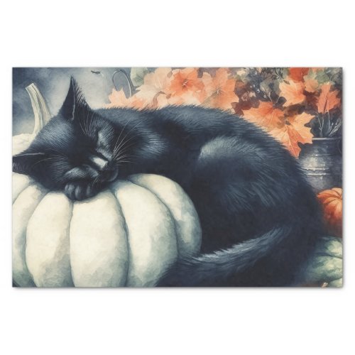 Black Cat Sleeping on a White Pumpkin Decoupage Tissue Paper