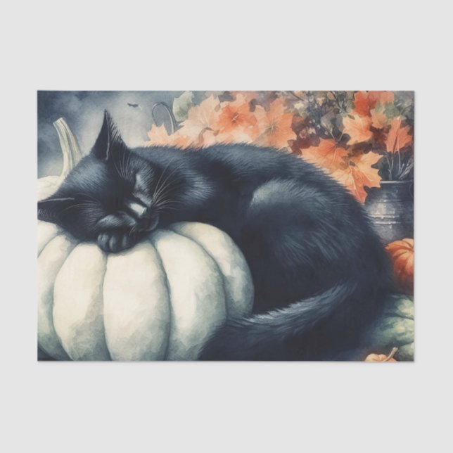Black Cat Sleeping on a White Pumpkin Decoupage Tissue Paper (Front)