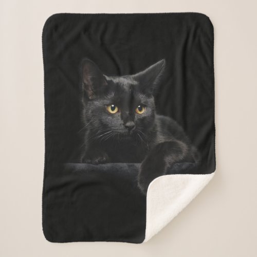 Black Cat Small Sherpa Fleece Blanket