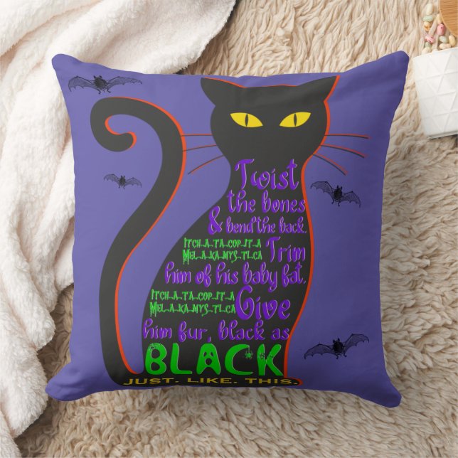 Black Cat Spell Thow Pillow (Blanket)