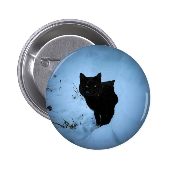 Black cat spotlight buttons