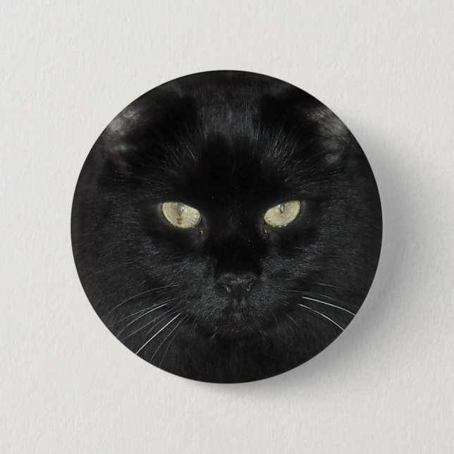 Black Cat Stare Pinback Button (Front)