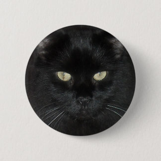 Black Cat Stare Pinback Button