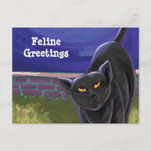 Black Cat Stationery Postcard