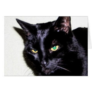 Black Cat Sumio Cards