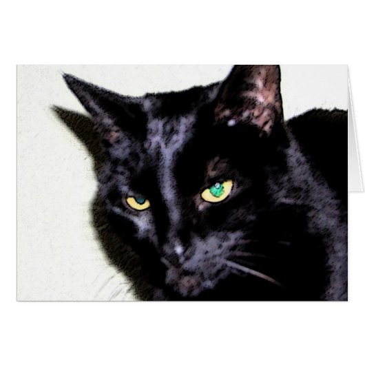 Black Cat Sumio Cards (Front Horizontal)