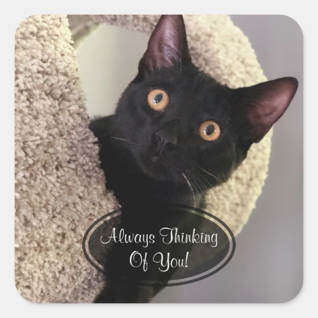 Black Cat Thinking Of You Stickers (Front)