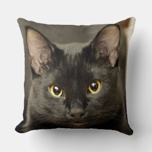 Black Cat Throw Pillow