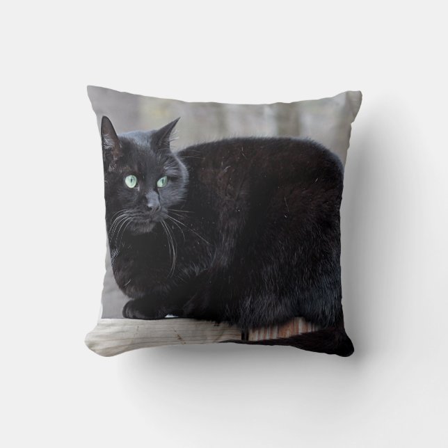 Black cat throw pillow (Front)