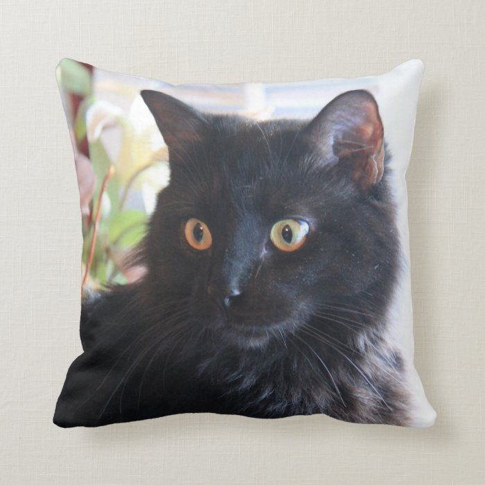 black cat neck pillow