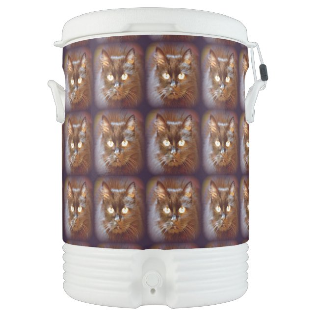 Black cat Thunder_Cove Beverage Cooler (Front)