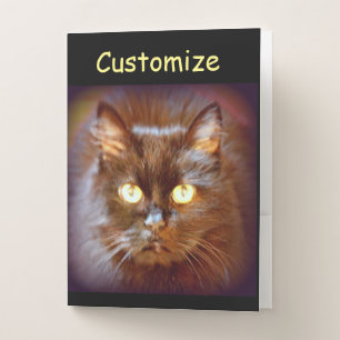 Black Cat Thunder_Cove Pocket Folder