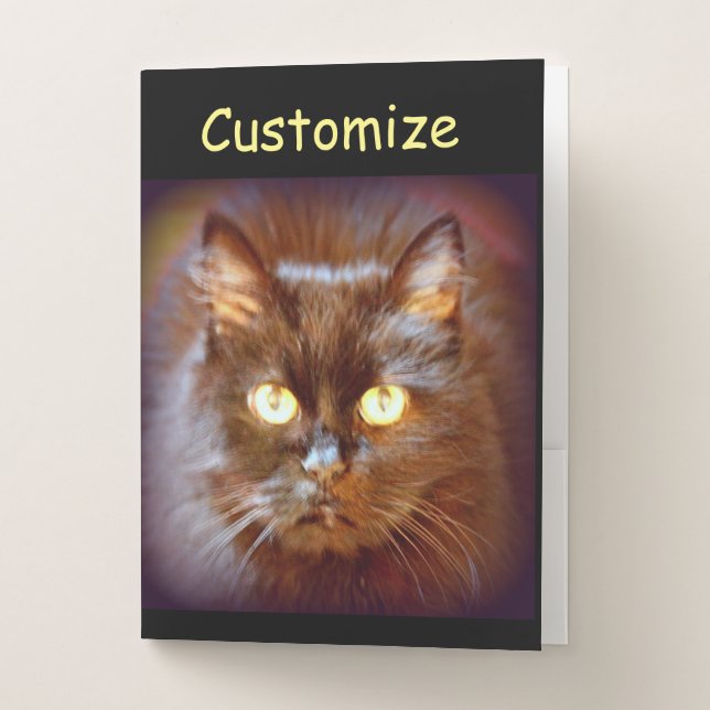 Black Cat Thunder_Cove Pocket Folder (Front)