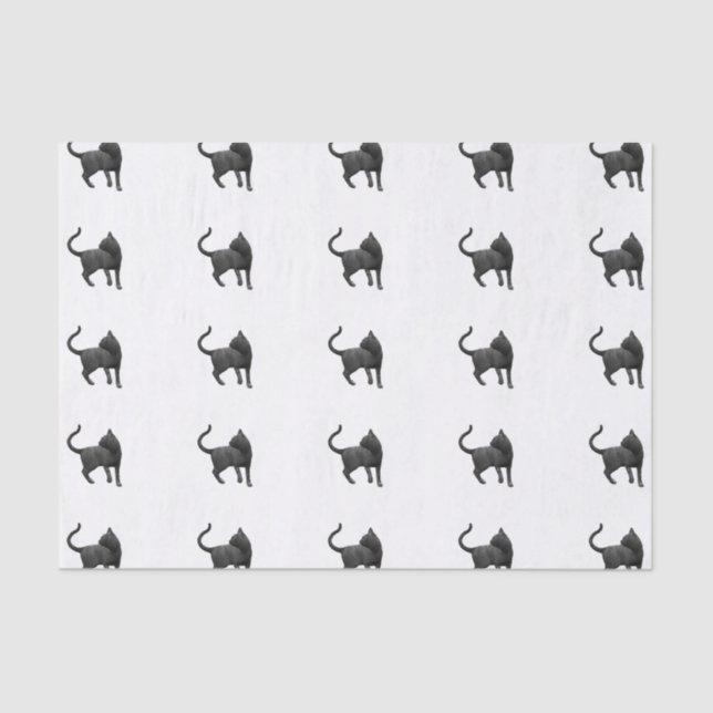 Black Cat Tissue Paper (Front)