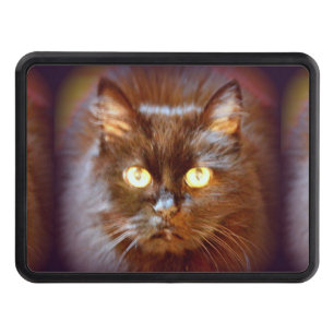 black cat tow hitch cover