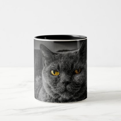 Black Cat Two-Tone Coffee Mug