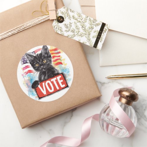 Black Cat US Elections Vote for a Change Classic Round Sticker
